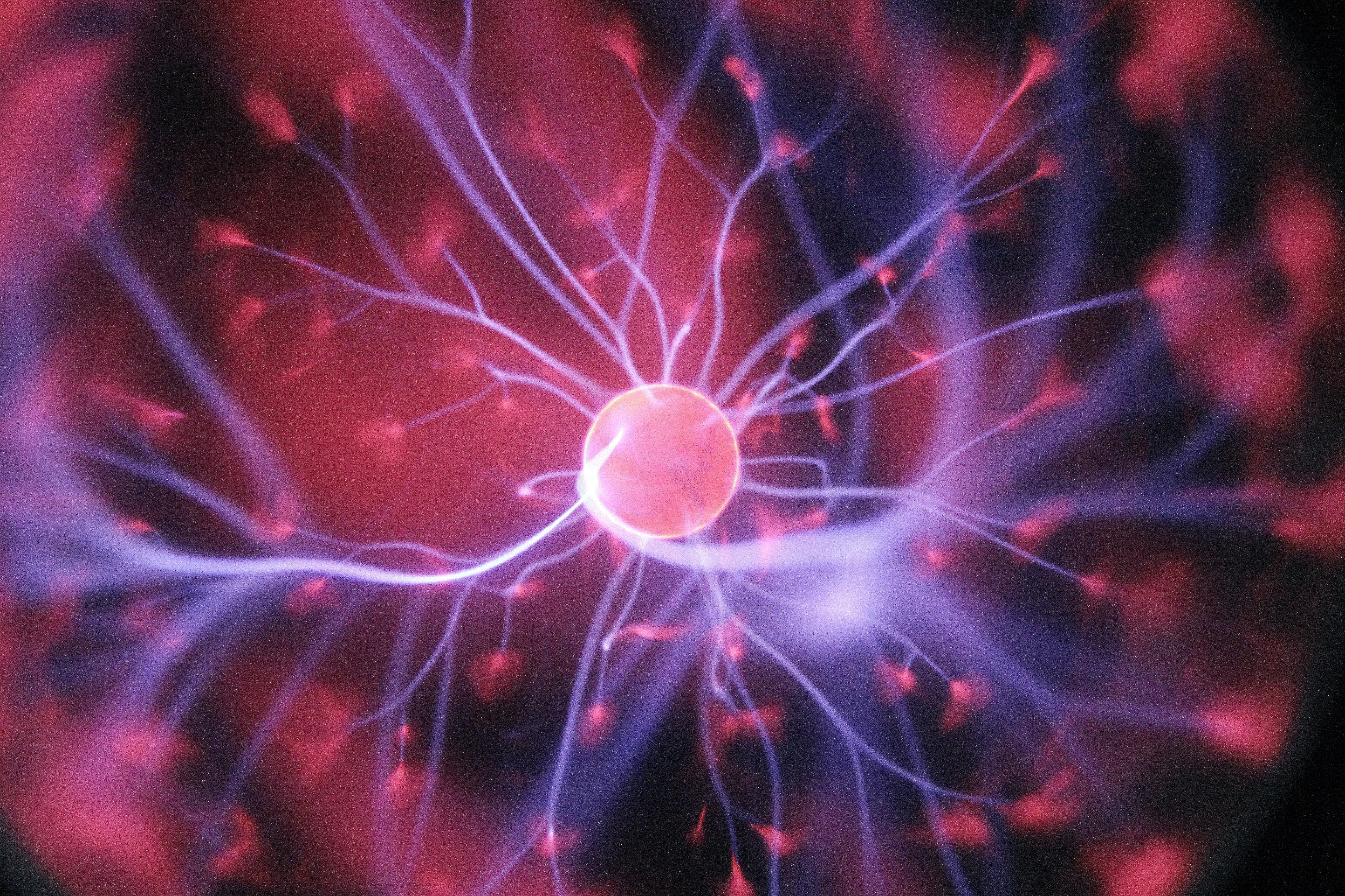 Effects of Saffron on the brain – NutriMagic USA