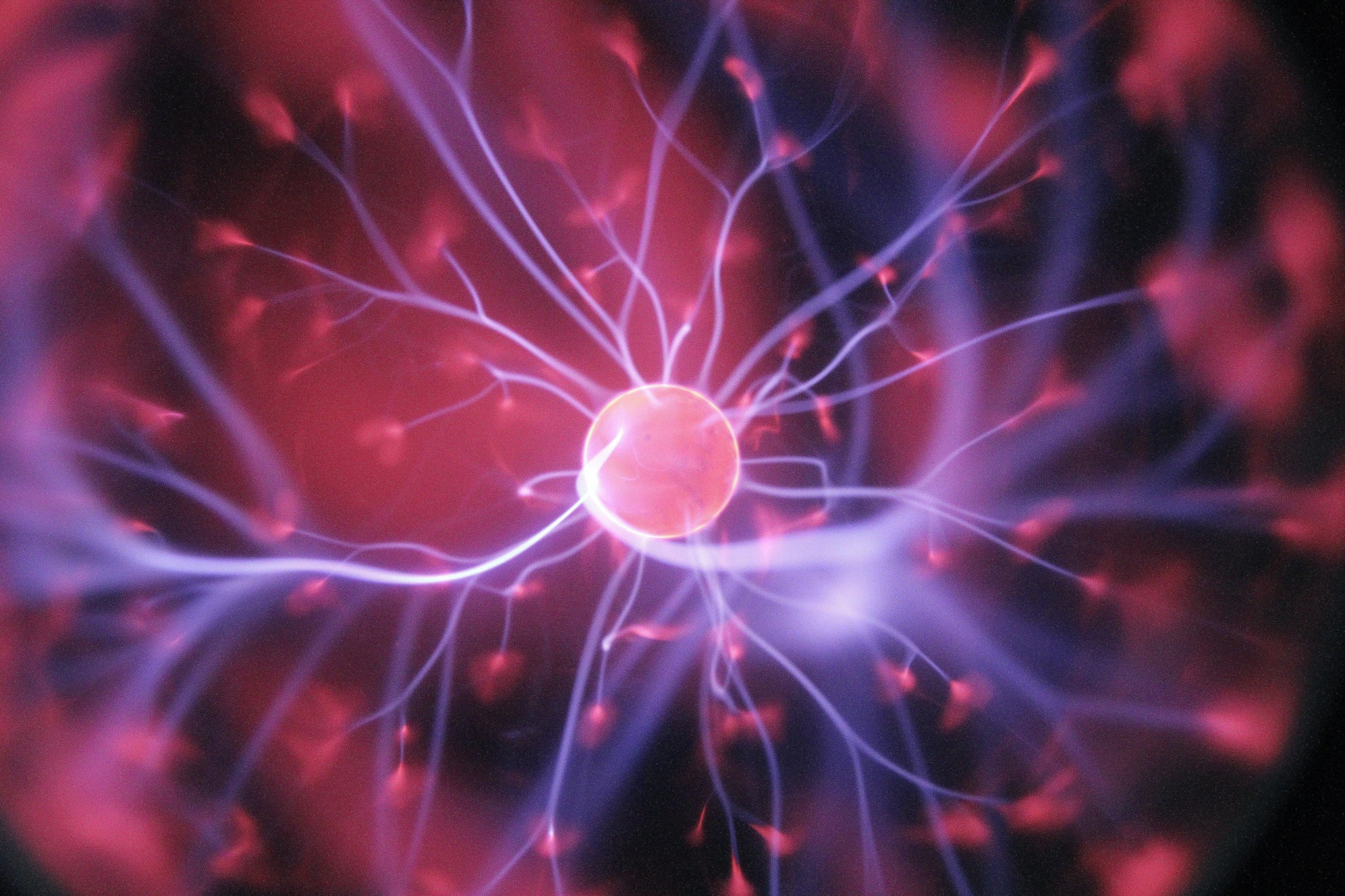 Effects of Saffron on the brain NutriMagic USA
