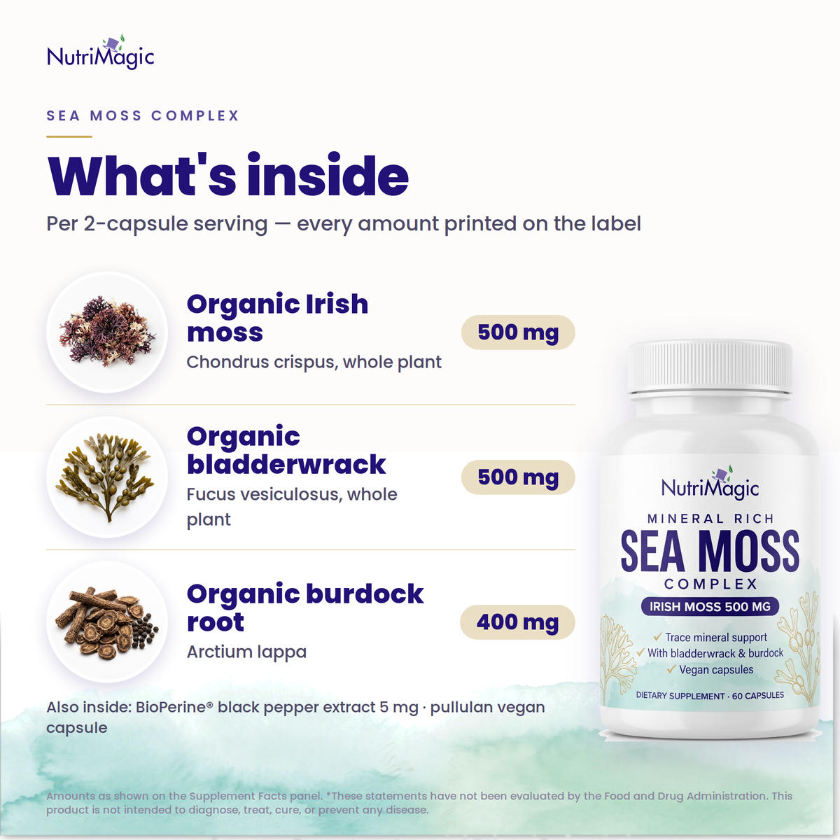 NutriMagic Sea Moss Complex — what's inside — ingredient amounts per serving