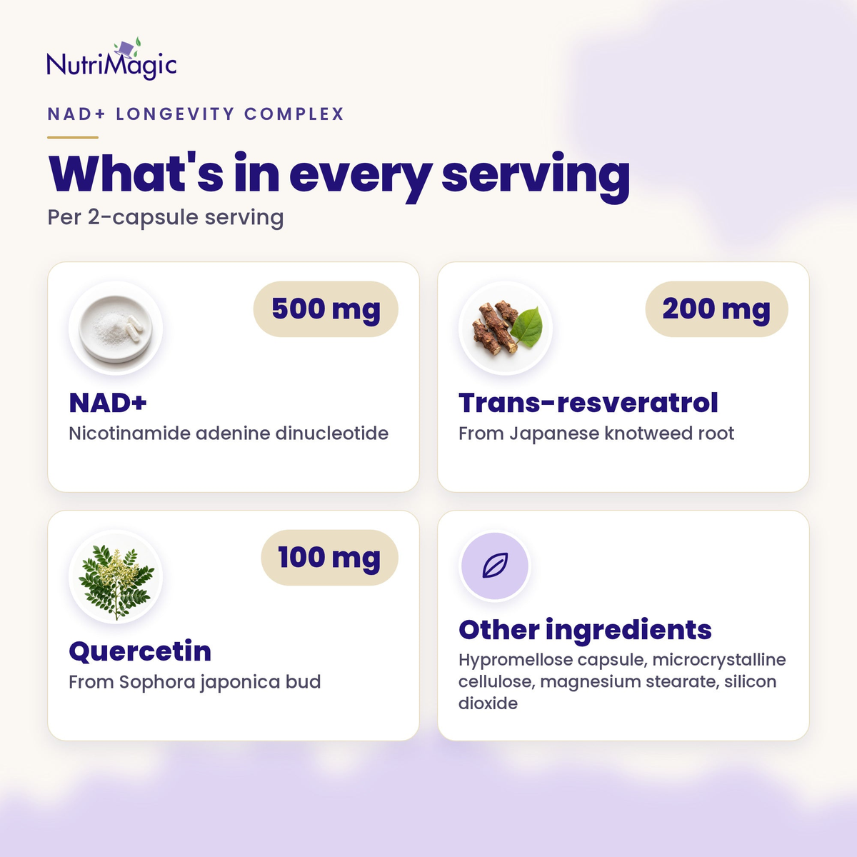 NutriMagic NAD+ Longevity Complex — what's in every serving — ingredient amounts per serving
